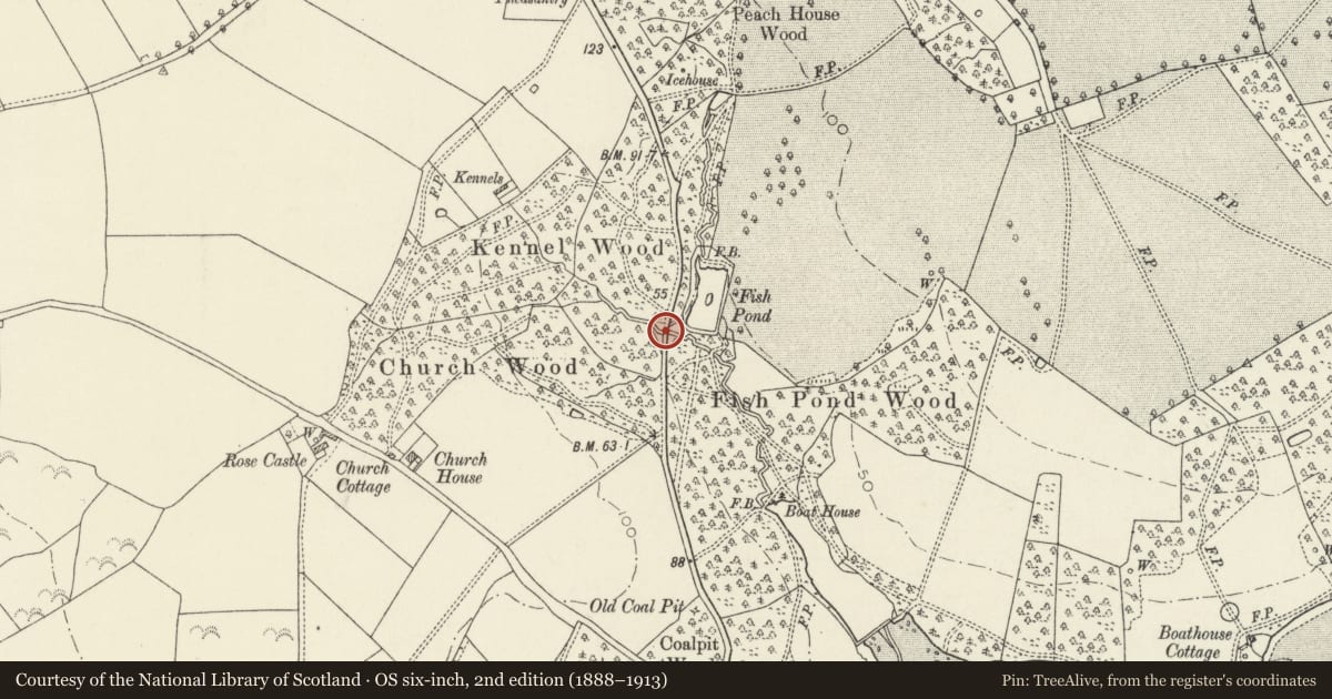 Ordnance Survey six-inch map, 2nd edition (1888–1913) covering the location of Bridge at Kennel Wood, Slebech, Pembrokeshire, with a pin at the register's coordinates