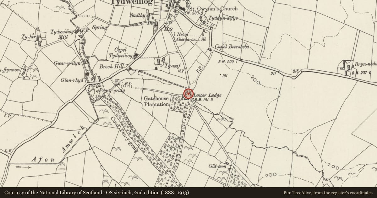 Ordnance Survey six-inch map, 2nd edition (1888–1913) covering the location of Entrance Gates and Walls near Lower Lodge at Cefnamwlch, Tudweiliog, Gwynedd, with a pin at the register's coordinates