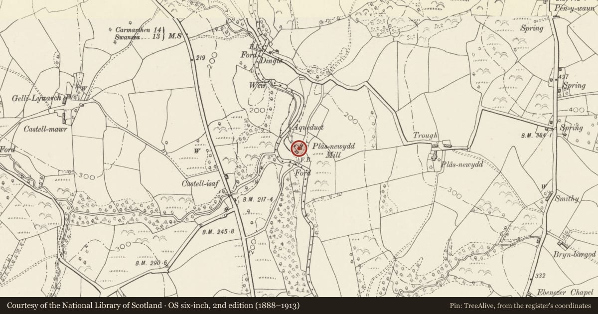 Ordnance Survey six-inch map, 2nd edition (1888–1913) covering the location of Plas-Newydd Mill, Llanedi, Carmarthenshire, with a pin at the register's coordinates