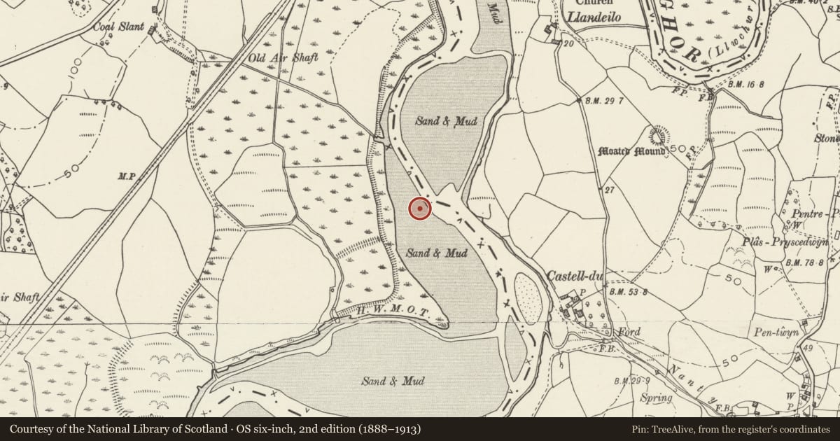 Ordnance Survey six-inch map, 2nd edition (1888–1913) covering the location of Viaduct at Morlais Junction East (partly in Grovesend & Waungron community), Llanedi, Carmarthenshire, with a pin at the register's coordinates