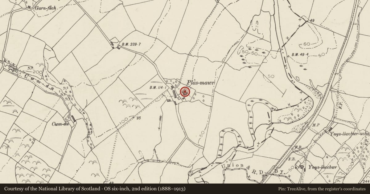 Ordnance Survey six-inch map, 2nd edition (1888–1913) covering the location of Plas Mawr (formerly known as Cwrt y Ceidrim), Llanedi, Carmarthenshire, with a pin at the register's coordinates