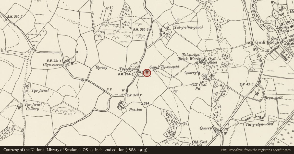 Ordnance Survey six-inch map, 2nd edition (1888–1913) covering the location of Hen Gapel (also known as Tynewedd Chapel), Llanedi, Carmarthenshire, with a pin at the register's coordinates