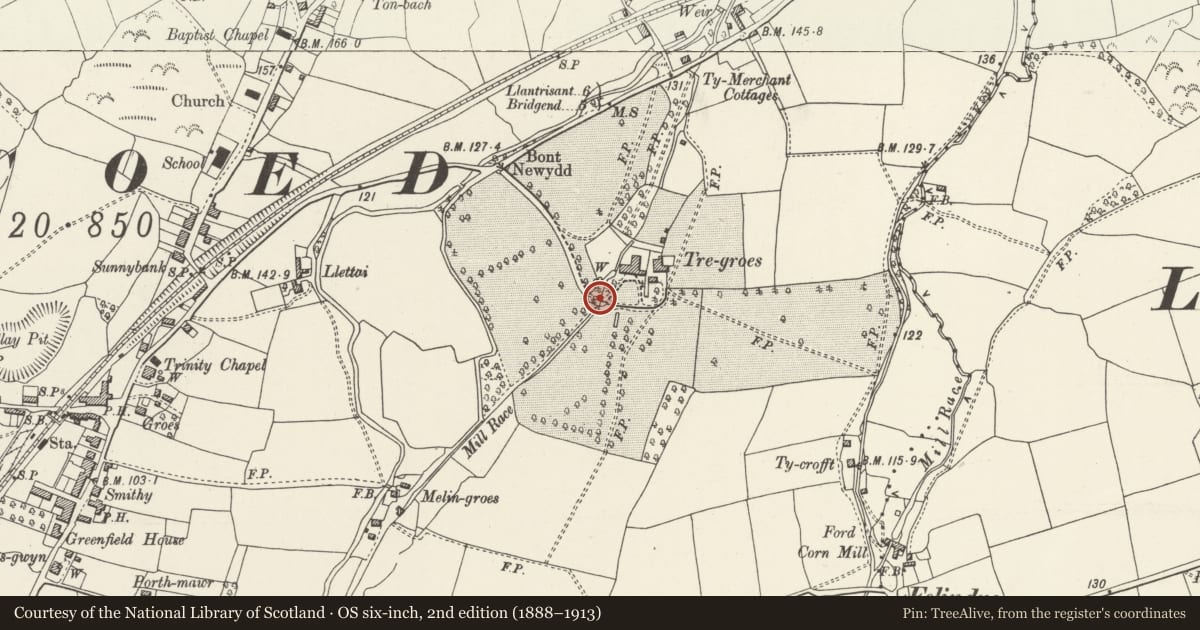 Ordnance Survey six-inch map, 2nd edition (1888–1913) covering the location of Bridge at Tregroes, Pencoed, Bridgend, with a pin at the register's coordinates