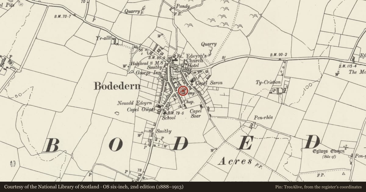Ordnance Survey six-inch map, 2nd edition (1888–1913) covering the location of Ardwyn, Bodedern, Isle of Anglesey, with a pin at the register's coordinates