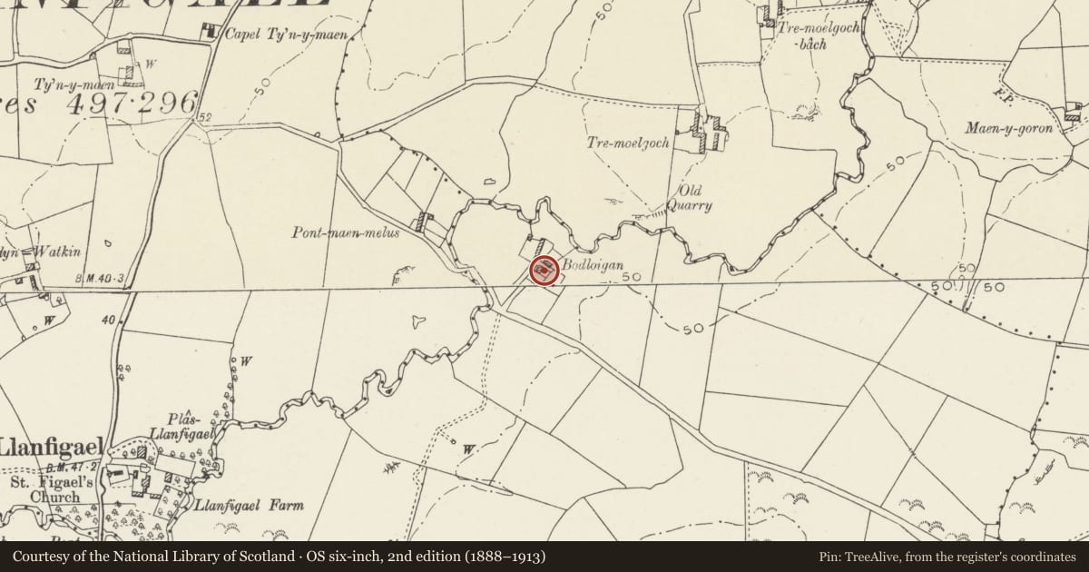 Ordnance Survey six-inch map, 2nd edition (1888–1913) covering the location of Bodloigan, Bodedern, Isle of Anglesey, with a pin at the register's coordinates