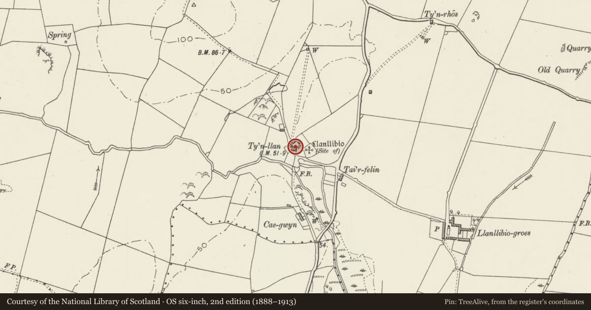 Ordnance Survey six-inch map, 2nd edition (1888–1913) covering the location of Tan-y-fynwynt, Bodedern, Isle of Anglesey, with a pin at the register's coordinates