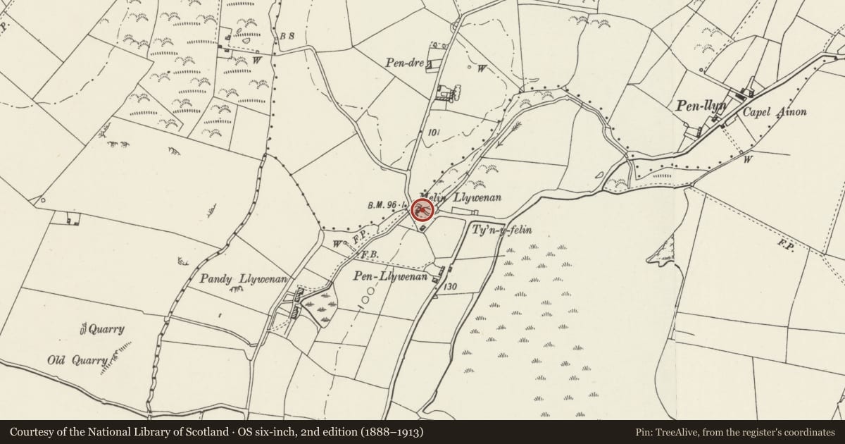 Ordnance Survey six-inch map, 2nd edition (1888–1913) covering the location of Factory Llewenan, Bodedern, Isle of Anglesey, with a pin at the register's coordinates