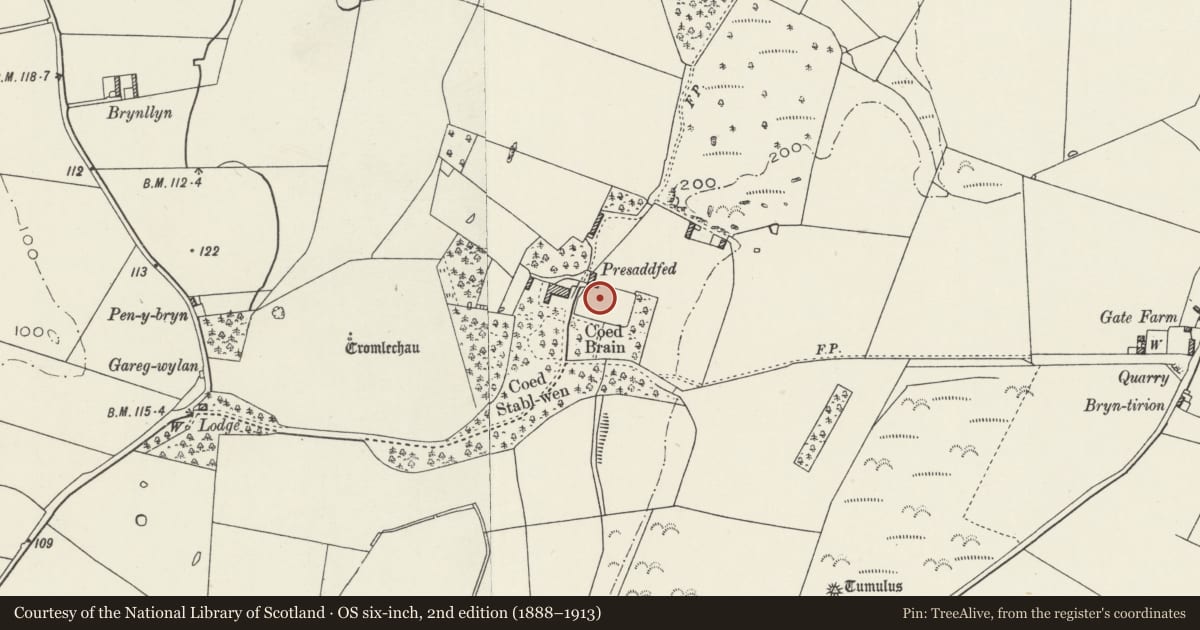Ordnance Survey six-inch map, 2nd edition (1888–1913) covering the location of Walls of enclosed garden, Presaddfed, Bodedern, Isle of Anglesey, with a pin at the register's coordinates