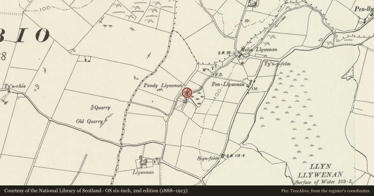 Ordnance Survey six-inch map, 2nd edition (1888–1913) covering the location of Pandy Llewenan, Bodedern, Isle of Anglesey, with a pin at the register's coordinates