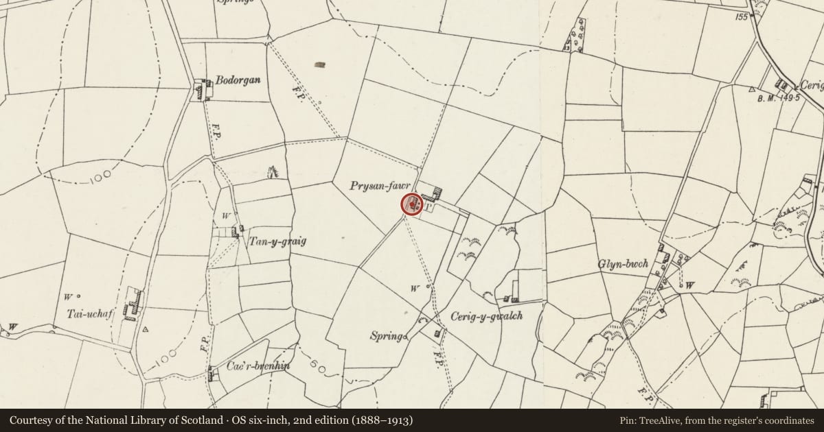 Ordnance Survey six-inch map, 2nd edition (1888–1913) covering the location of Prysan-fawr, Bodedern, Isle of Anglesey, with a pin at the register's coordinates