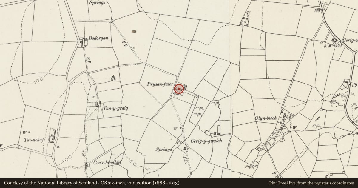 Ordnance Survey six-inch map, 2nd edition (1888–1913) covering the location of Stable, barn and cowhouse at Prysan-fawr, Bodedern, Isle of Anglesey, with a pin at the register's coordinates