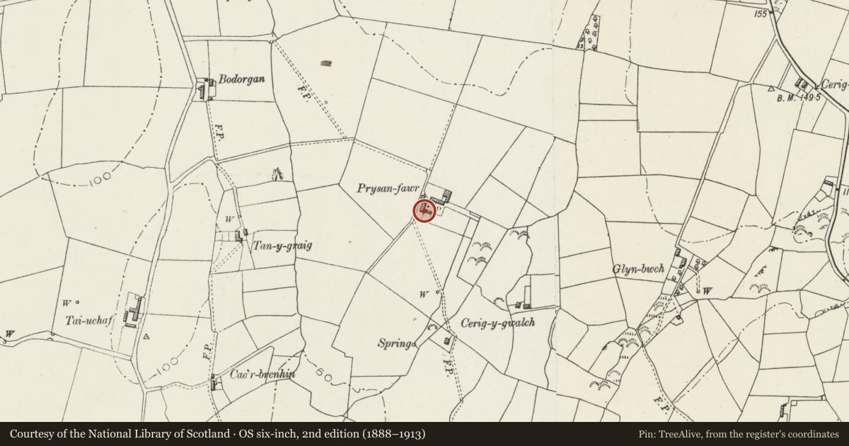 Ordnance Survey six-inch map, 2nd edition (1888–1913) covering the location of Boiling house and pigsty at Prysan-fawr, Bodedern, Isle of Anglesey, with a pin at the register's coordinates