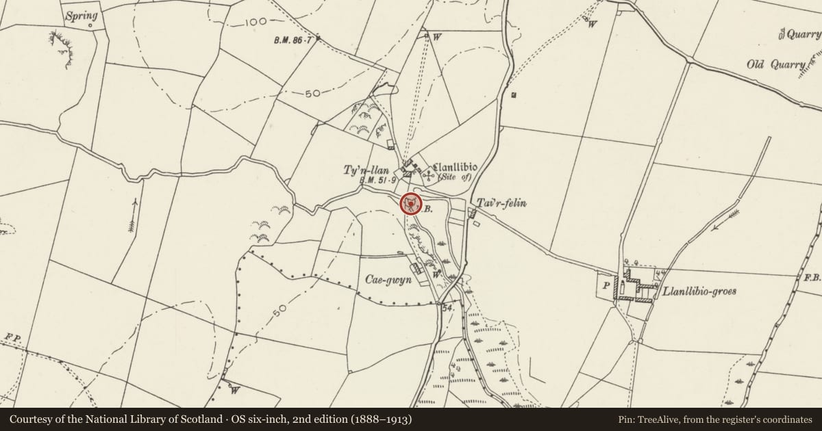 Ordnance Survey six-inch map, 2nd edition (1888–1913) covering the location of Clapper bridge at Tan-y-fynwent, Bodedern, Isle of Anglesey, with a pin at the register's coordinates