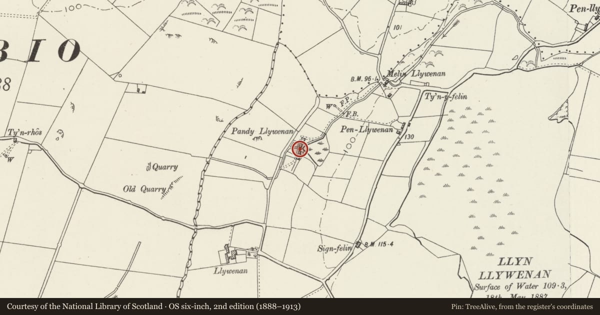 Ordnance Survey six-inch map, 2nd edition (1888–1913) covering the location of Dyeing-house at Pandy Llewenan, Bodedern, Isle of Anglesey, with a pin at the register's coordinates
