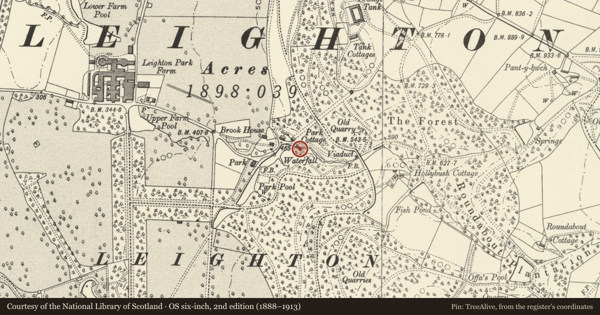 Ordnance Survey six-inch map, 2nd edition (1888–1913) covering the location of Bridge South East of Old Cable House, Forden with Leighton and Trelystan, Powys, with a pin at the register's coordinates