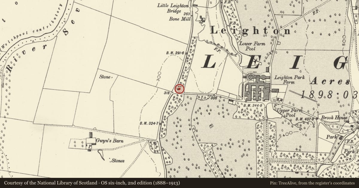 Ordnance Survey six-inch map, 2nd edition (1888–1913) covering the location of Tafalog, Forden with Leighton and Trelystan, Powys, with a pin at the register's coordinates