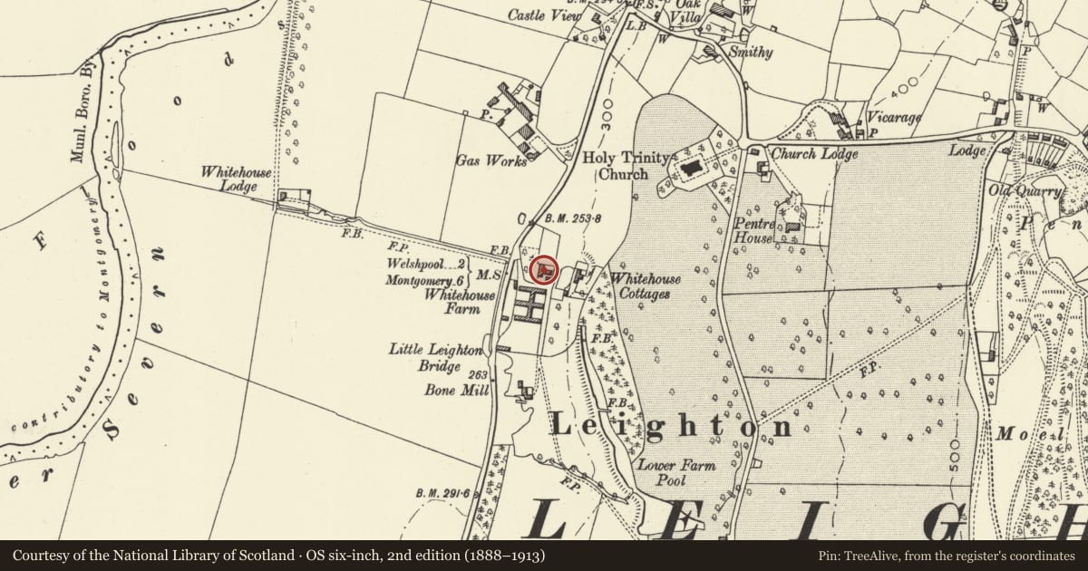 Ordnance Survey six-inch map, 2nd edition (1888–1913) covering the location of The White House, Forden with Leighton and Trelystan, Powys, with a pin at the register's coordinates