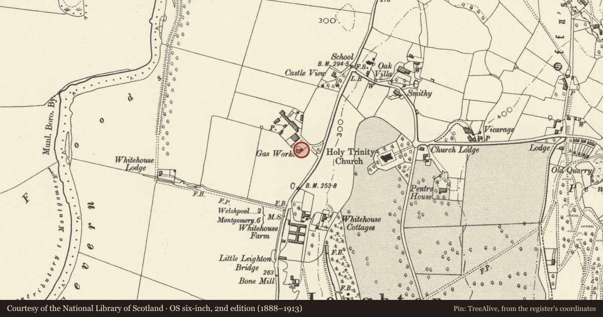 Ordnance Survey six-inch map, 2nd edition (1888–1913) covering the location of Former Retort House, Forden with Leighton and Trelystan, Powys, with a pin at the register's coordinates