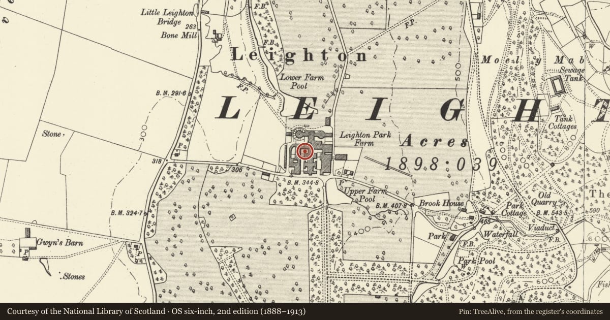 Ordnance Survey six-inch map, 2nd edition (1888–1913) covering the location of Stockyard II, Leighton Farm, Forden with Leighton and Trelystan, Powys, with a pin at the register's coordinates