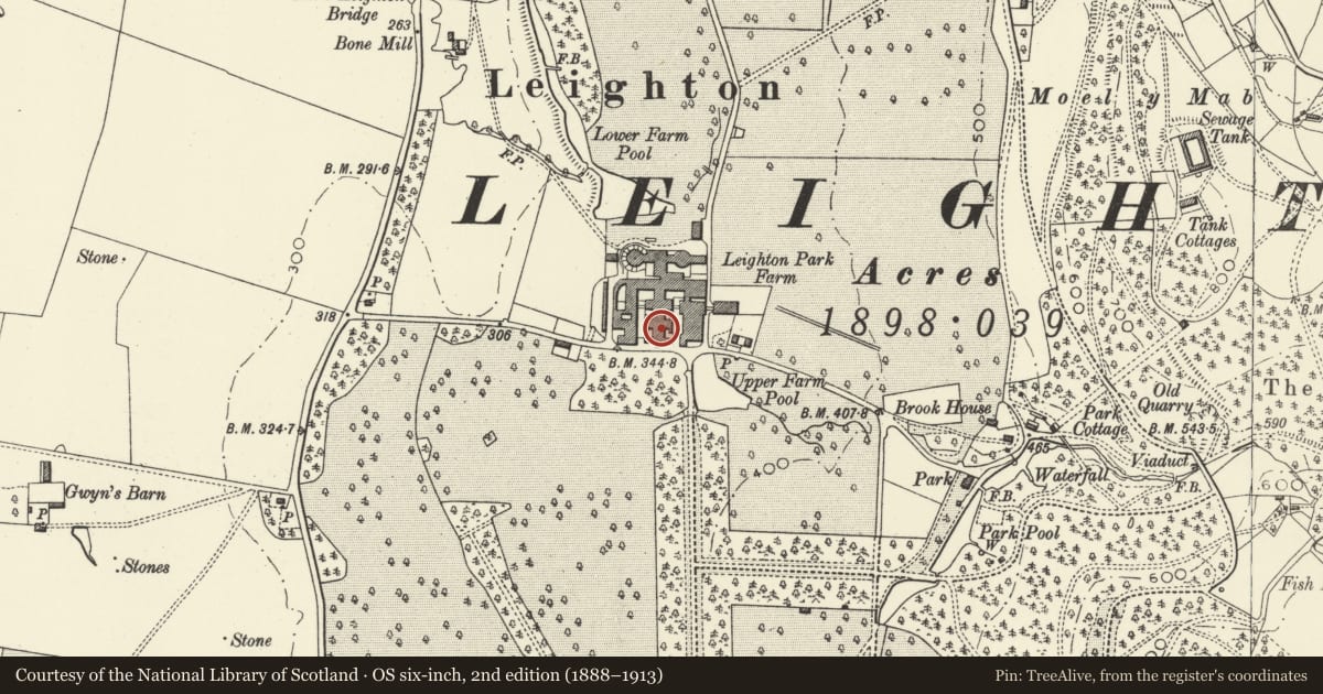 Ordnance Survey six-inch map, 2nd edition (1888–1913) covering the location of Stockyard IV, Leighton Farm, Forden with Leighton and Trelystan, Powys, with a pin at the register's coordinates