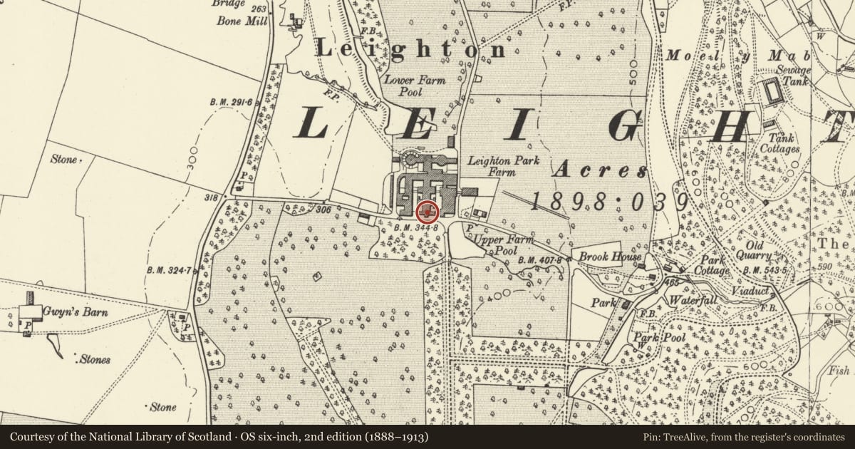 Ordnance Survey six-inch map, 2nd edition (1888–1913) covering the location of Stable, Leighton Farm, Forden with Leighton and Trelystan, Powys, with a pin at the register's coordinates