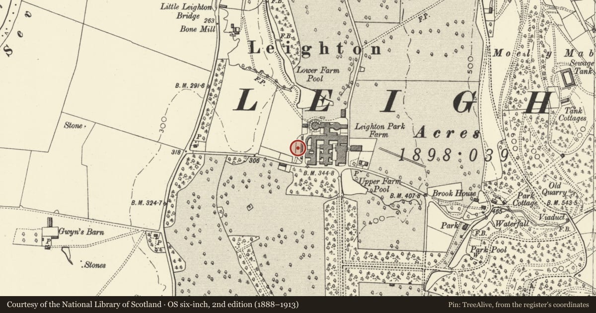 Ordnance Survey six-inch map, 2nd edition (1888–1913) covering the location of W Stockyard Wall, Leighton Farm, Forden with Leighton and Trelystan, Powys, with a pin at the register's coordinates