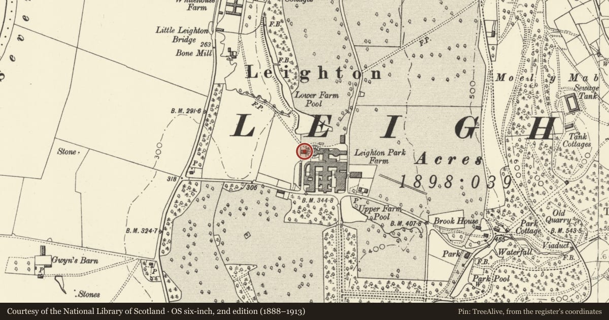 Ordnance Survey six-inch map, 2nd edition (1888–1913) covering the location of Former Sheep-Drying Shed, with attached walls, Leighton Farm, Forden with Leighton and Trelystan, Powys, with a pin at the register's coordinates