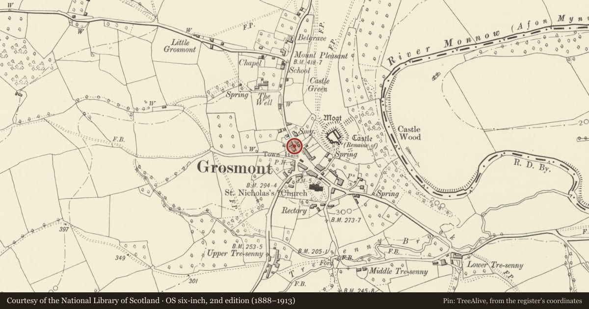 Ordnance Survey six-inch map, 2nd edition (1888–1913) covering the location of Glyndwr including Railed Forecourt, Grosmont, Monmouthshire, with a pin at the register's coordinates