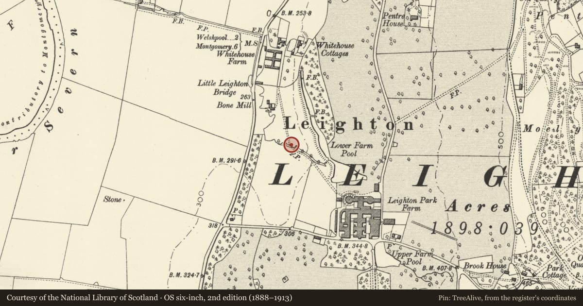 Ordnance Survey six-inch map, 2nd edition (1888–1913) covering the location of Footbridge North West of Leighton Farm, Forden with Leighton and Trelystan, Powys, with a pin at the register's coordinates
