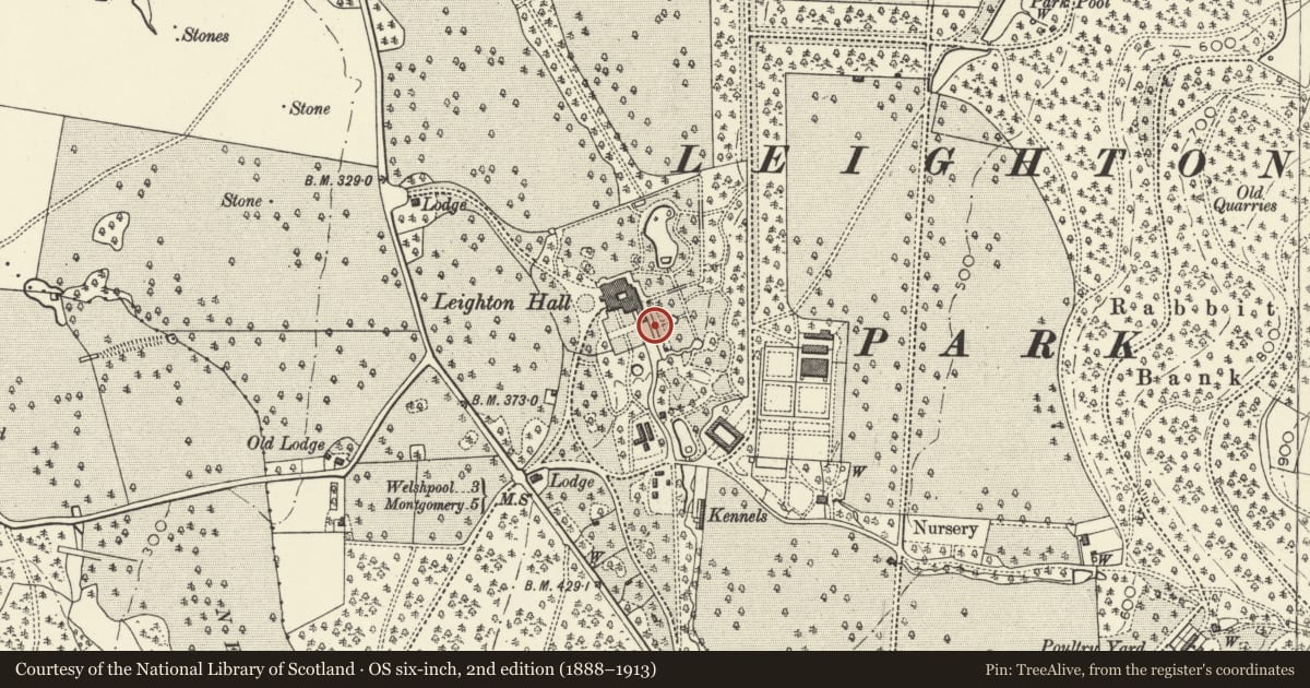 Ordnance Survey six-inch map, 2nd edition (1888–1913) covering the location of Terrace Walk S of Leighton Hall Tower, Forden with Leighton and Trelystan, Powys, with a pin at the register's coordinates