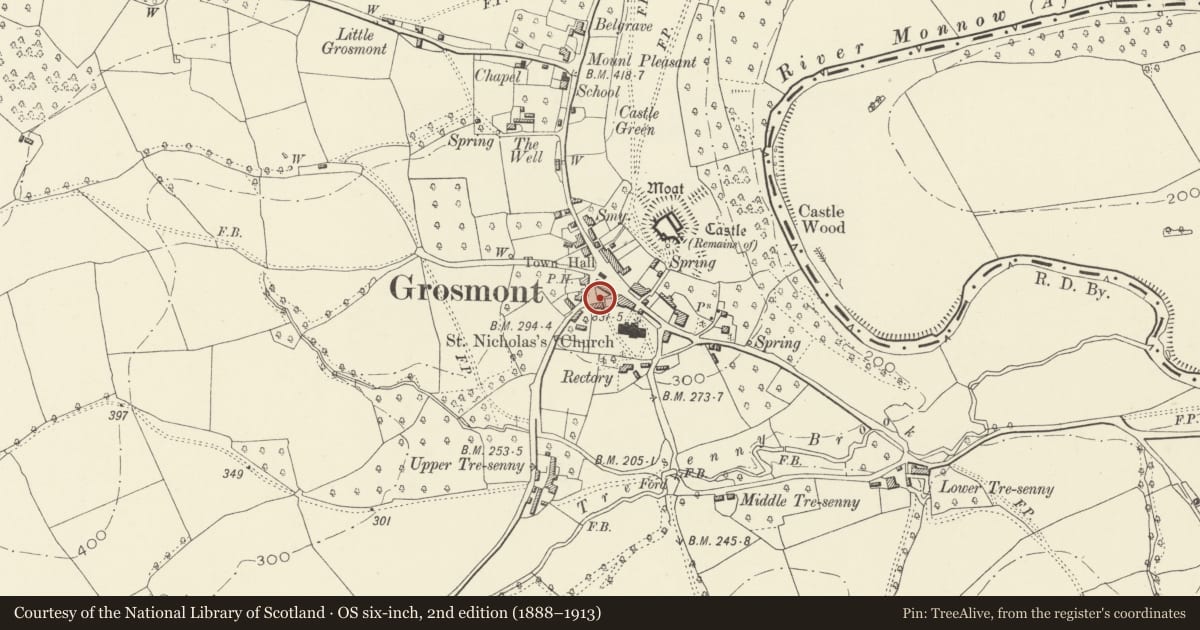 Ordnance Survey six-inch map, 2nd edition (1888–1913) covering the location of Town Farm, Grosmont, Monmouthshire, with a pin at the register's coordinates