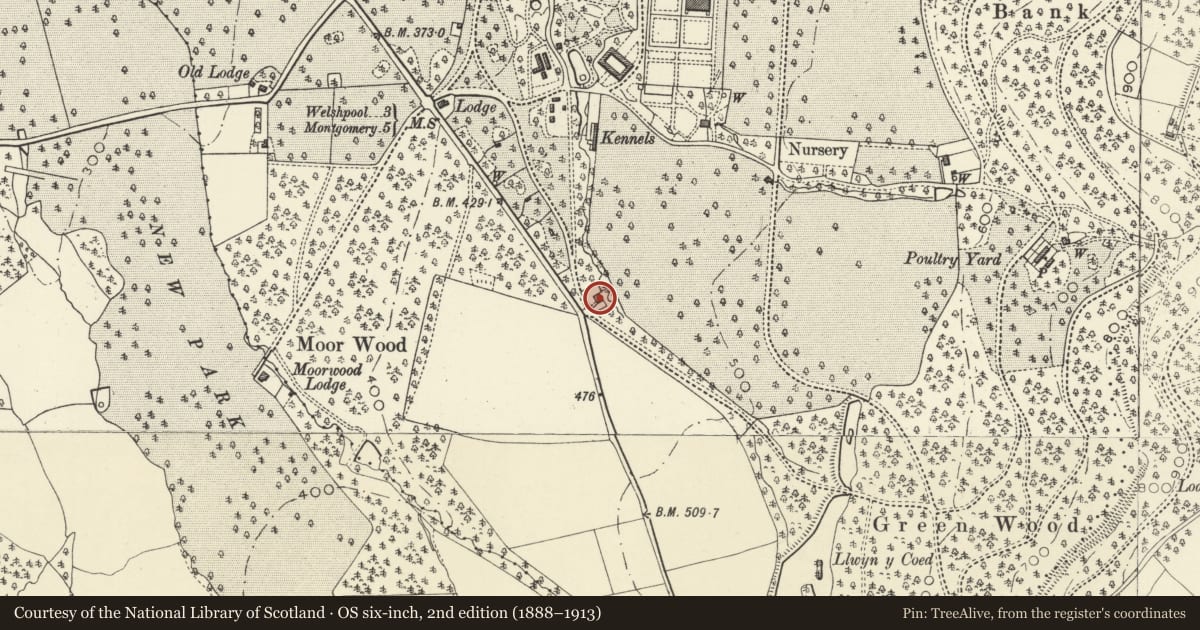 Ordnance Survey six-inch map, 2nd edition (1888–1913) covering the location of Pine Lodge, Forden with Leighton and Trelystan, Powys, with a pin at the register's coordinates