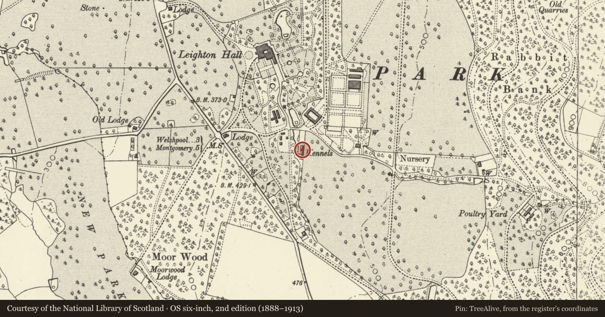 Ordnance Survey six-inch map, 2nd edition (1888–1913) covering the location of Former Kennels at Greystones, Forden with Leighton and Trelystan, Powys, with a pin at the register's coordinates
