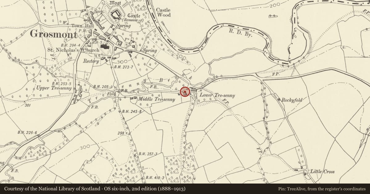 Ordnance Survey six-inch map, 2nd edition (1888–1913) covering the location of Barn at Lower Tresenny, Grosmont, Monmouthshire, with a pin at the register's coordinates