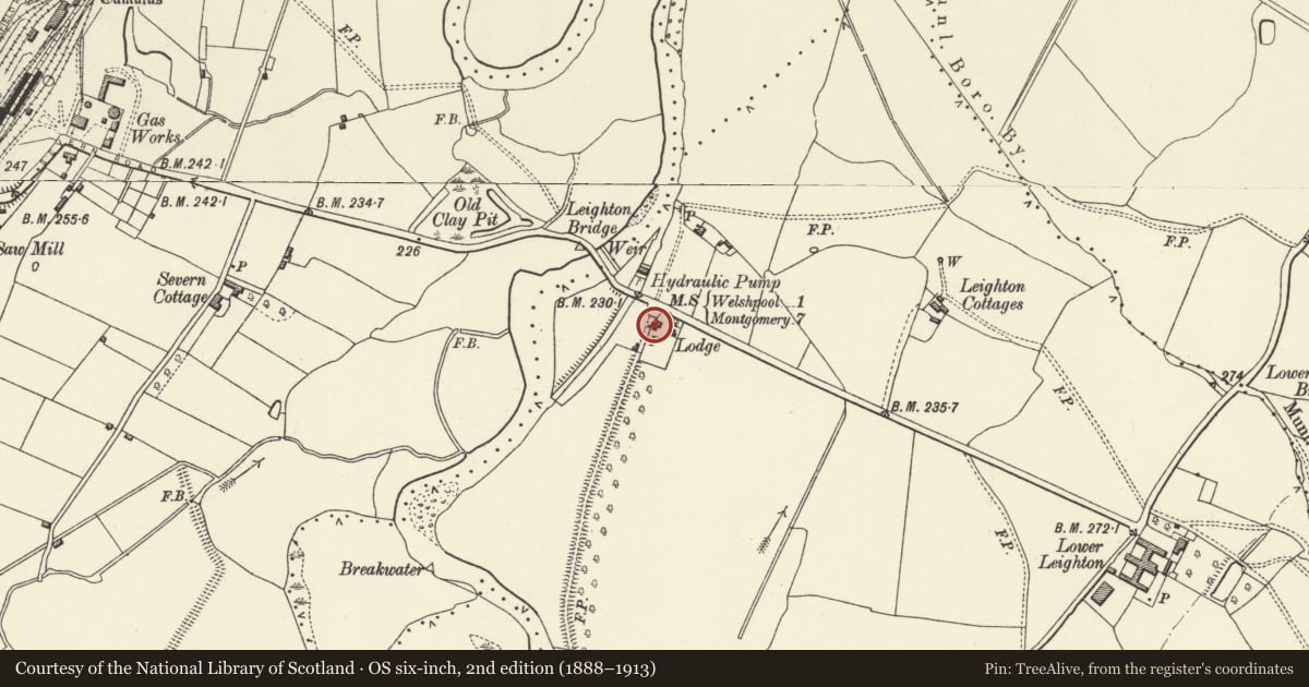 Ordnance Survey six-inch map, 2nd edition (1888–1913) covering the location of Severn Lodge, Forden with Leighton and Trelystan, Powys, with a pin at the register's coordinates