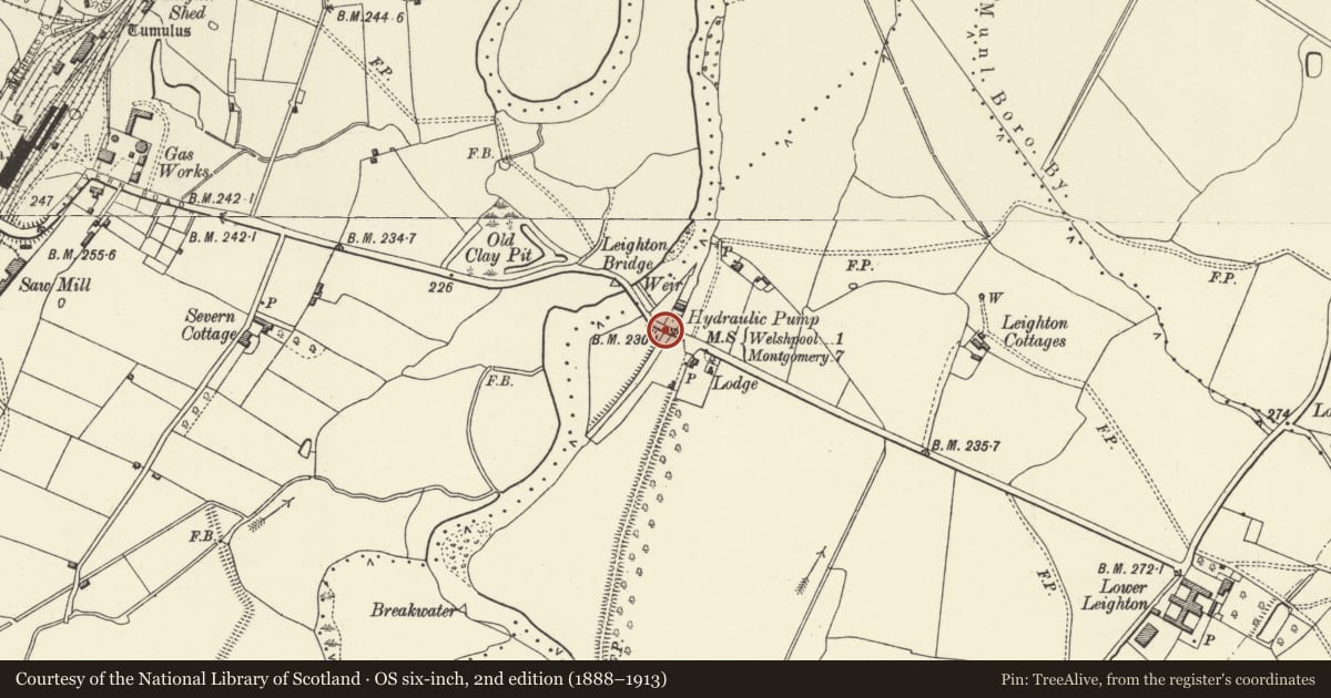 Ordnance Survey six-inch map, 2nd edition (1888–1913) covering the location of Bridge over channel N of Severn Lodge, Forden with Leighton and Trelystan, Powys, with a pin at the register's coordinates
