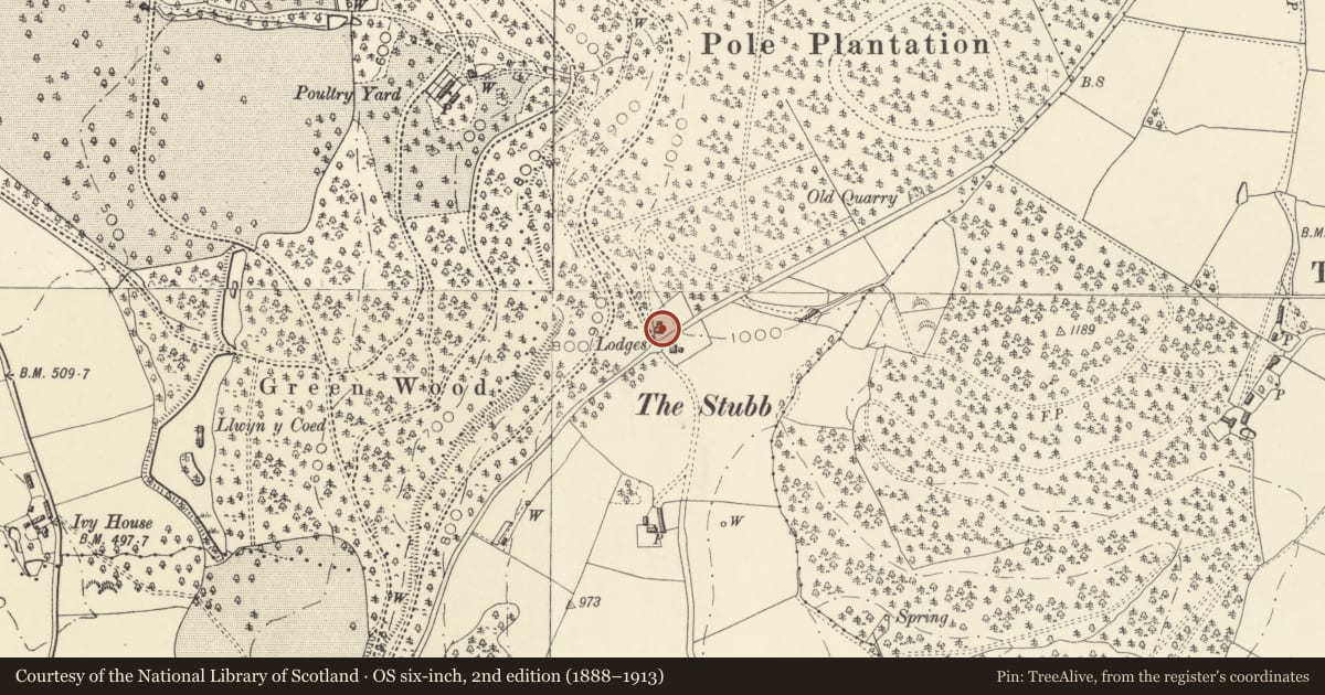 Ordnance Survey six-inch map, 2nd edition (1888–1913) covering the location of Harp Cottage, Forden with Leighton and Trelystan, Powys, with a pin at the register's coordinates
