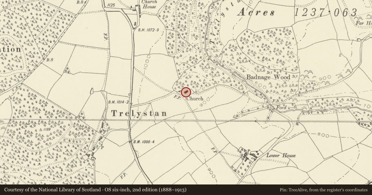 Ordnance Survey six-inch map, 2nd edition (1888–1913) covering the location of Church of All Saints, Forden with Leighton and Trelystan, Powys, with a pin at the register's coordinates