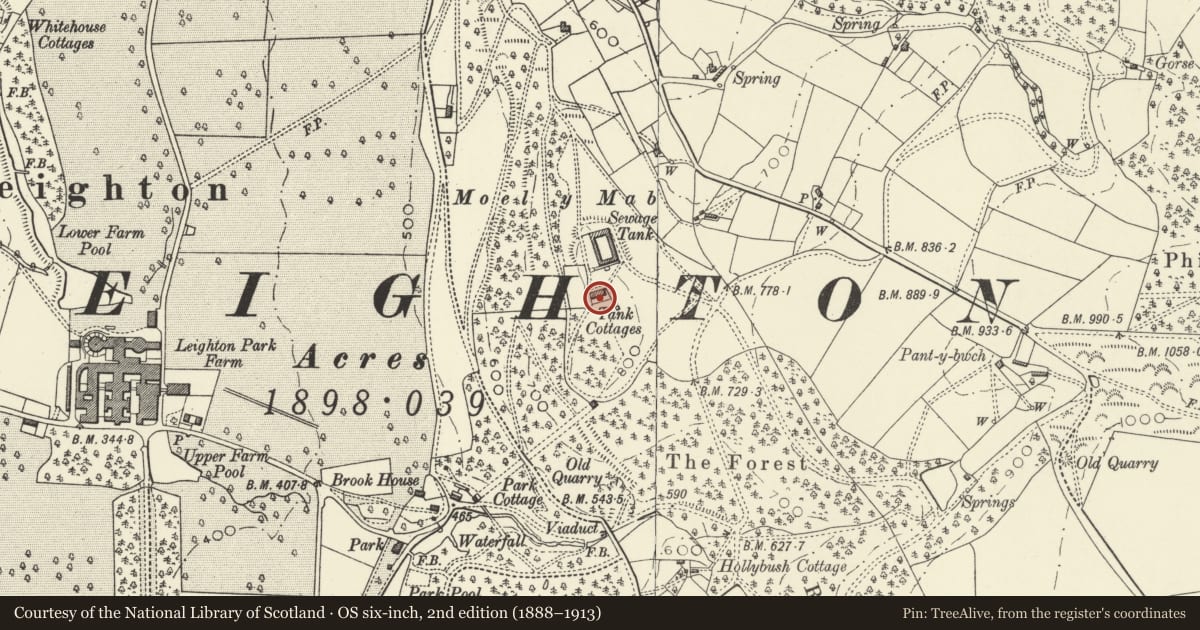 Ordnance Survey six-inch map, 2nd edition (1888–1913) covering the location of Hillcrest, Forden with Leighton and Trelystan, Powys, with a pin at the register's coordinates