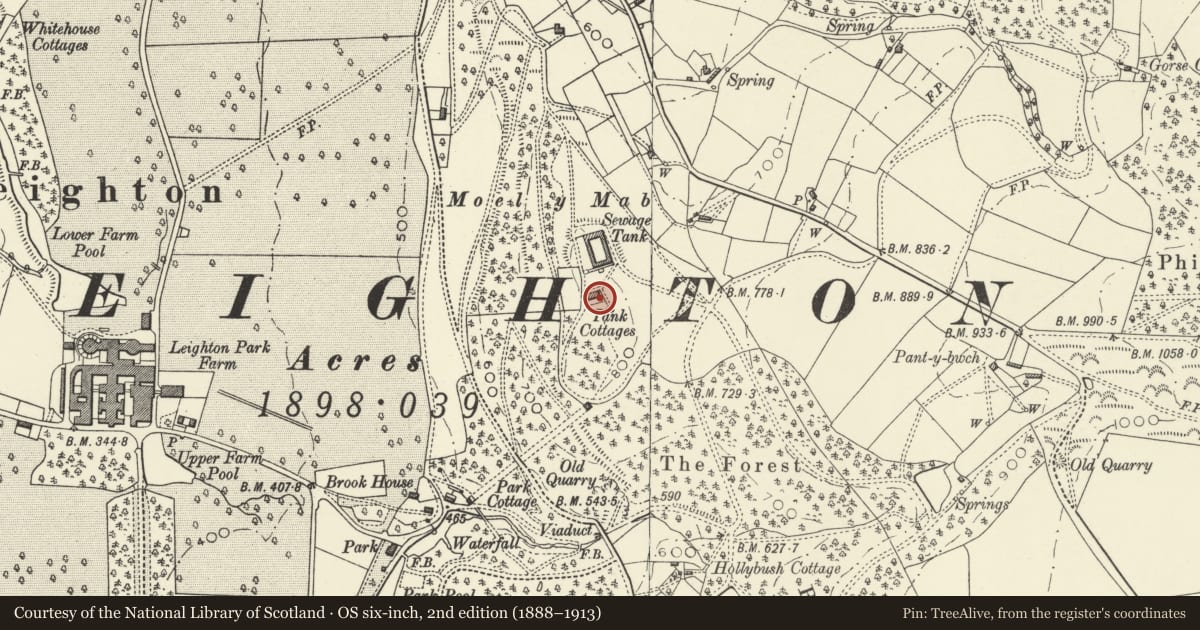 Ordnance Survey six-inch map, 2nd edition (1888–1913) covering the location of Beechview, Forden with Leighton and Trelystan, Powys, with a pin at the register's coordinates
