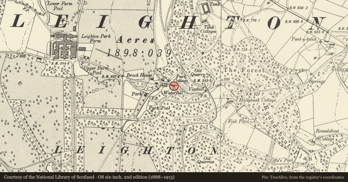 Ordnance Survey six-inch map, 2nd edition (1888–1913) covering the location of Leat to Park Pool, Forden with Leighton and Trelystan, Powys, with a pin at the register's coordinates