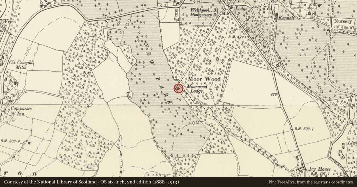 Ordnance Survey six-inch map, 2nd edition (1888–1913) covering the location of Moorwood Lodge, Forden with Leighton and Trelystan, Powys, with a pin at the register's coordinates