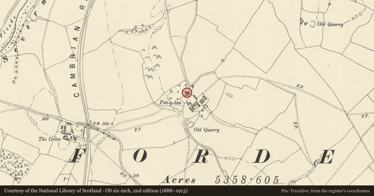 Ordnance Survey six-inch map, 2nd edition (1888–1913) covering the location of Pen-y-llan, Forden with Leighton and Trelystan, Powys, with a pin at the register's coordinates