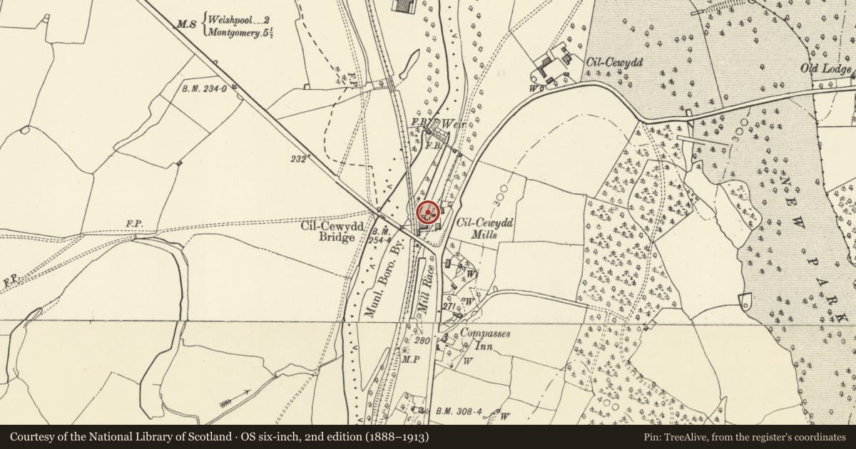 Ordnance Survey six-inch map, 2nd edition (1888–1913) covering the location of Mill Office at Cil-cewydd Mill, Forden with Leighton and Trelystan, Powys, with a pin at the register's coordinates