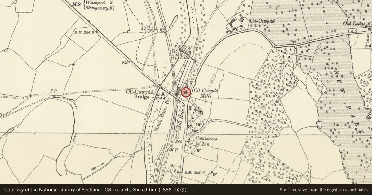 Ordnance Survey six-inch map, 2nd edition (1888–1913) covering the location of Loading Bay and Weighhouse at Cil-cewydd Corn Mill, Forden with Leighton and Trelystan, Powys, with a pin at the register's coordinates