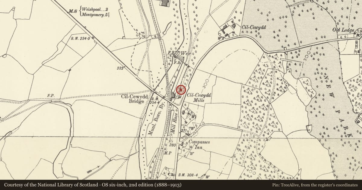 Ordnance Survey six-inch map, 2nd edition (1888–1913) covering the location of Outbuilding at Cil-cewydd Mill, Forden with Leighton and Trelystan, Powys, with a pin at the register's coordinates