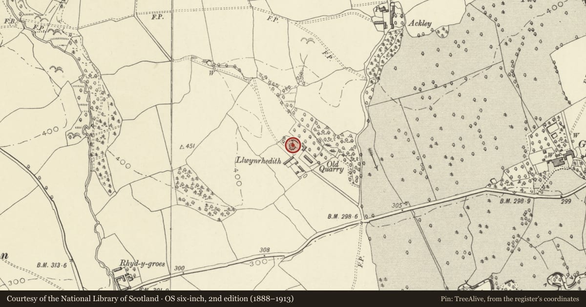 Ordnance Survey six-inch map, 2nd edition (1888–1913) covering the location of Llwynyrhededd, Forden with Leighton and Trelystan, Powys, with a pin at the register's coordinates