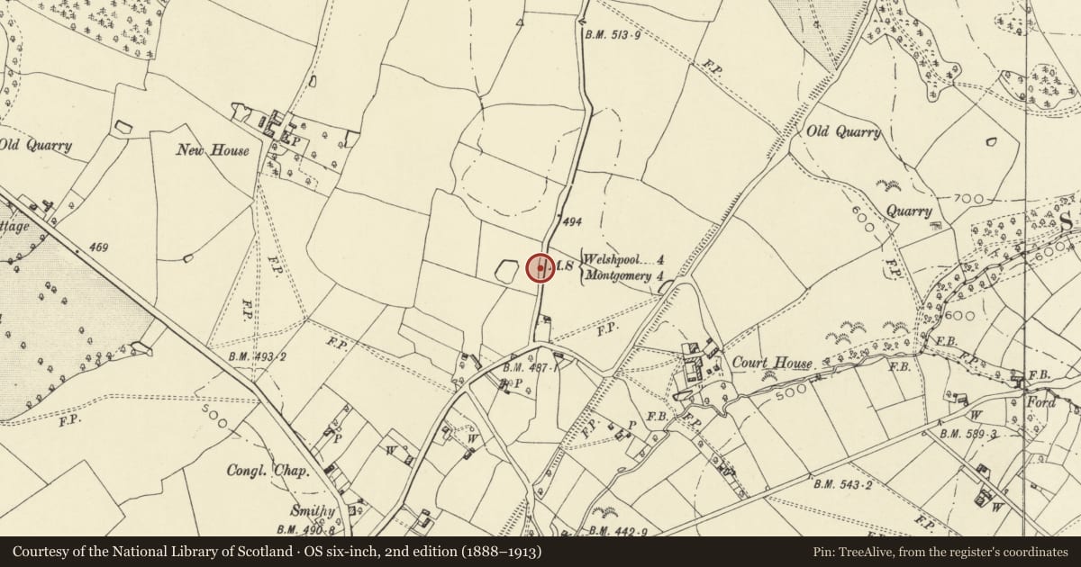 Ordnance Survey six-inch map, 2nd edition (1888–1913) covering the location of Mile marker on the Montygomery to Welshpool Road, Forden with Leighton and Trelystan, Powys, with a pin at the register's coordinates