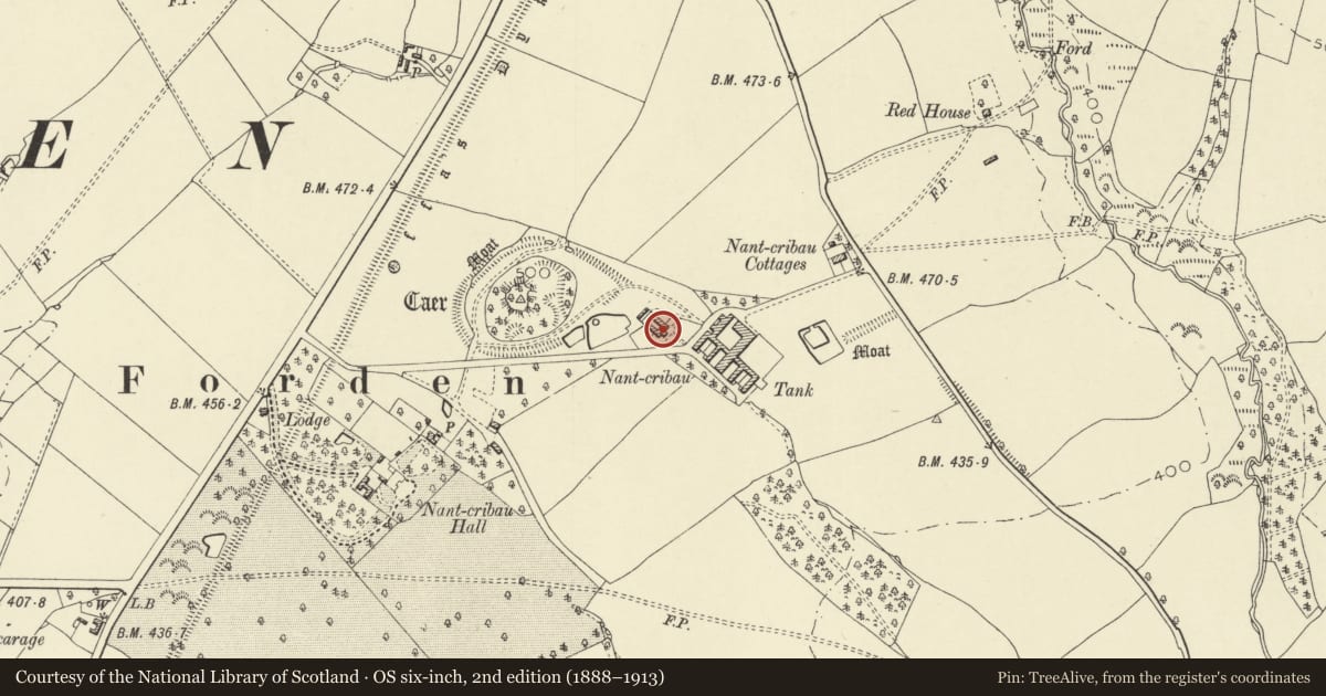 Ordnance Survey six-inch map, 2nd edition (1888–1913) covering the location of Nantcribba, Forden with Leighton and Trelystan, Powys, with a pin at the register's coordinates