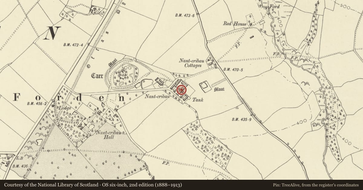 Ordnance Survey six-inch map, 2nd edition (1888–1913) covering the location of Farm Buildings at Nantcribba, Forden with Leighton and Trelystan, Powys, with a pin at the register's coordinates